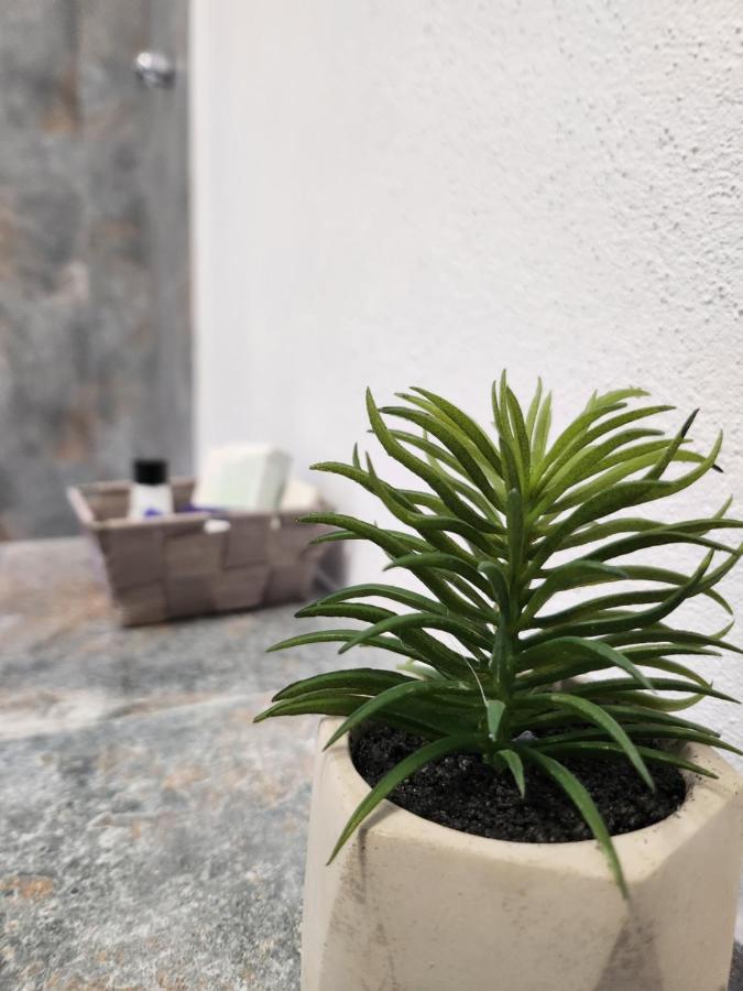 Armina'S Residence Dumbravita  Ngoại thất bức ảnh